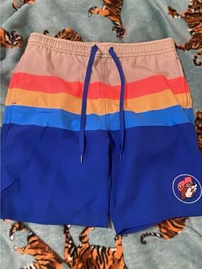 Boy’s Blue Multicolor Stripe Swim Shorts